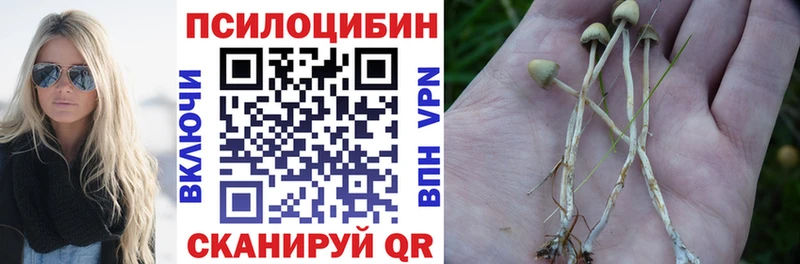 Псилоцибиновые грибы GOLDEN TEACHER  купить наркотик  Аткарск 